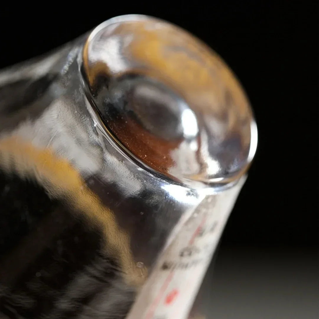 Japanese Fujiyama Sake Glass